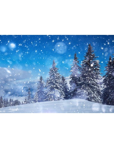 Toile de Fond de Beau Ciel Bleu Hiver Neige Arbres de Noël Gx-1076 en ligne des produits 