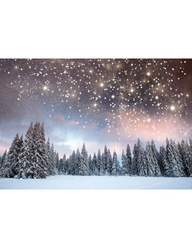 Toile de Fond d'Arbres de Noël d'Hiver Étoiles Brillantes pour la Photographie Gx-1080 commande en ligne