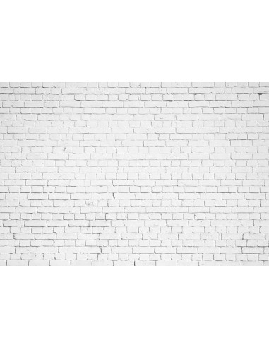 Toile de Fond de Mur de Brique Blanche pour la Photographie Gx-1030 pas cher