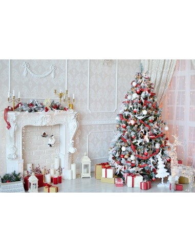 Toile de Fond de Cheminée pour Noël Gx-1048 prix pour 