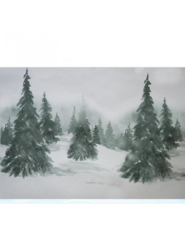 Toile De Fond Neige Arbres De Noël Peinture Sapins Fond Pour La Photographie Zh-147 Le MVP de beaucoup