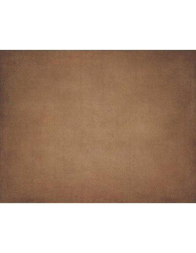 Toile de Fond de Texture Abstraite Marron pour la Photographie de Portrait Nb-279 pas cher