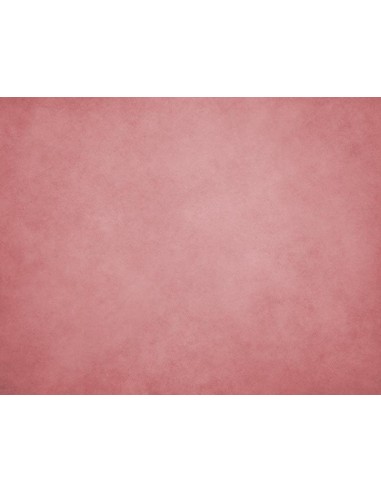 Toile De Fond Abstraite Texturée Rouge Clair Pour La Photographie Nb-272 prix pour 