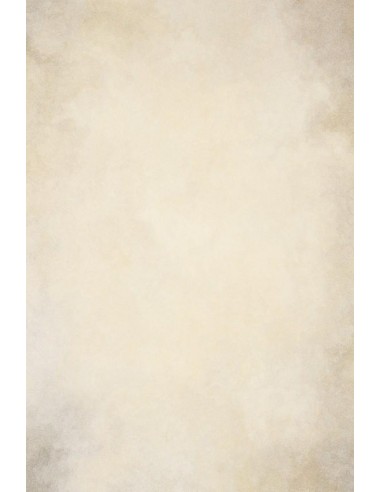 Beige Texture d'art abstrait Toile de fond de séance photo portrait DHP-214 hantent personnes