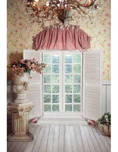 Toile de fond de photographie de chambre classique avec fenêtre blanche GY-034 acheter