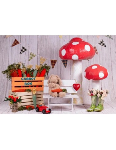 Champignon ours printemps toile de fond pour la photographie SH603 plus qu'un jeu 