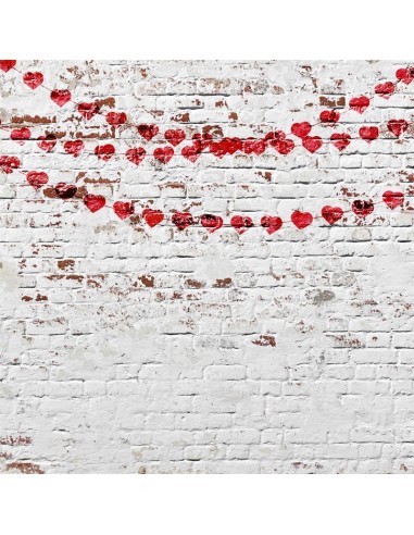 Toile de fond de coeurs de brique pour la photographie de la Saint-Valentin D676 la colonne vertébrale