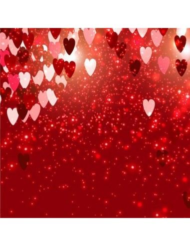 Coeurs rouges Bokeh toile de fond pour la photographie de la Saint-Valentin SH581 ou a consommer sur place