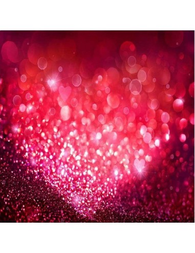 Joyeuse saint Valentin Toile de fond de photographie fond rouge bokeh VAT-44 store